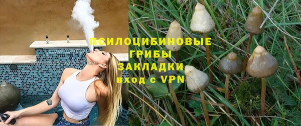 экстази Белокуриха