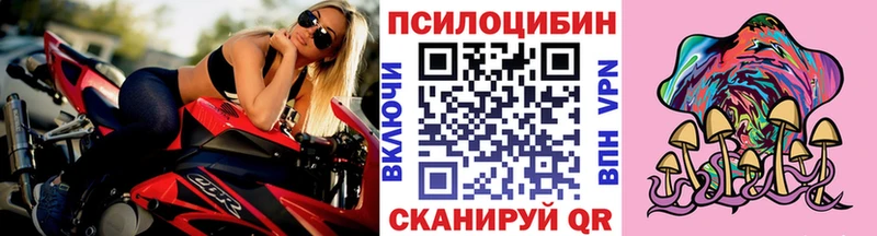 продажа наркотиков  kraken как войти  Галлюциногенные грибы мухоморы  сайты даркнета как зайти  Ногинск 